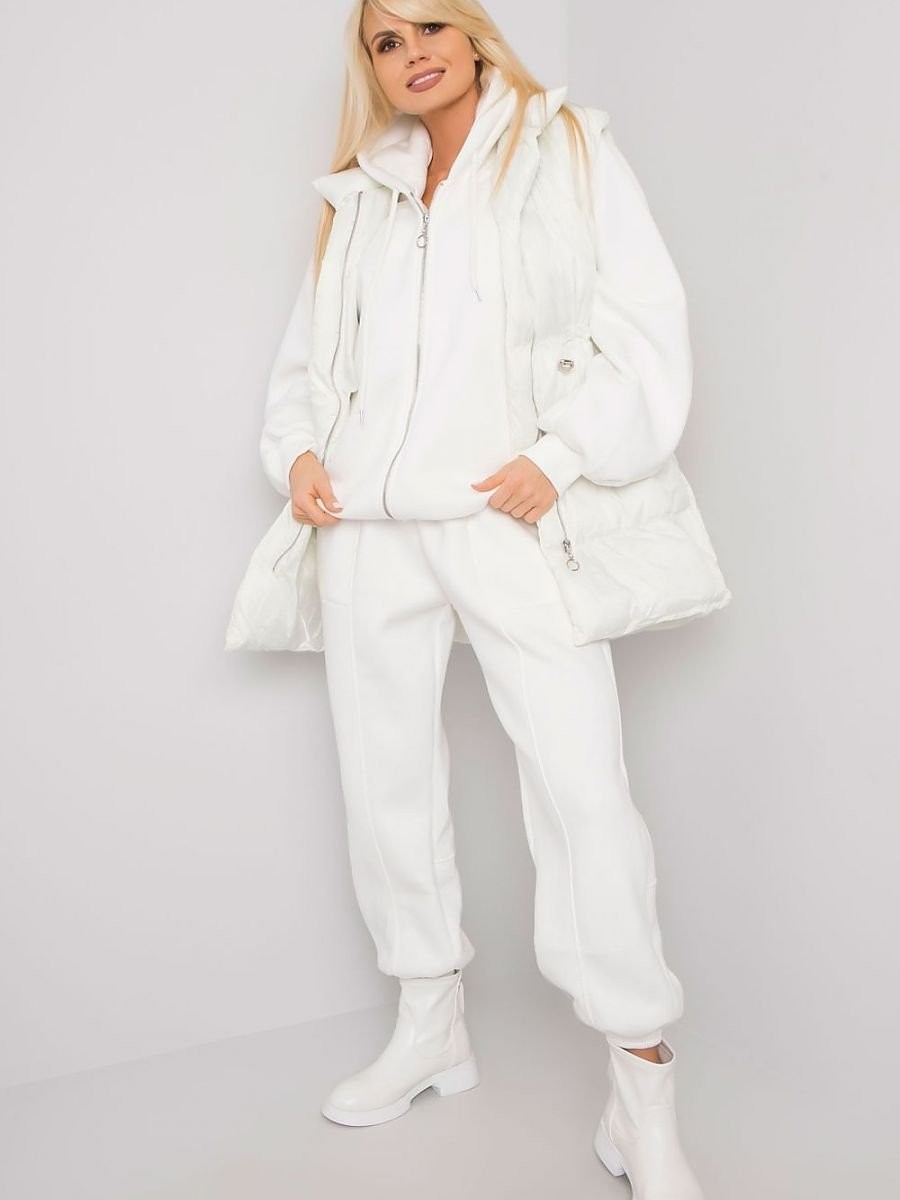 L`ensemble model 160815 Ex...