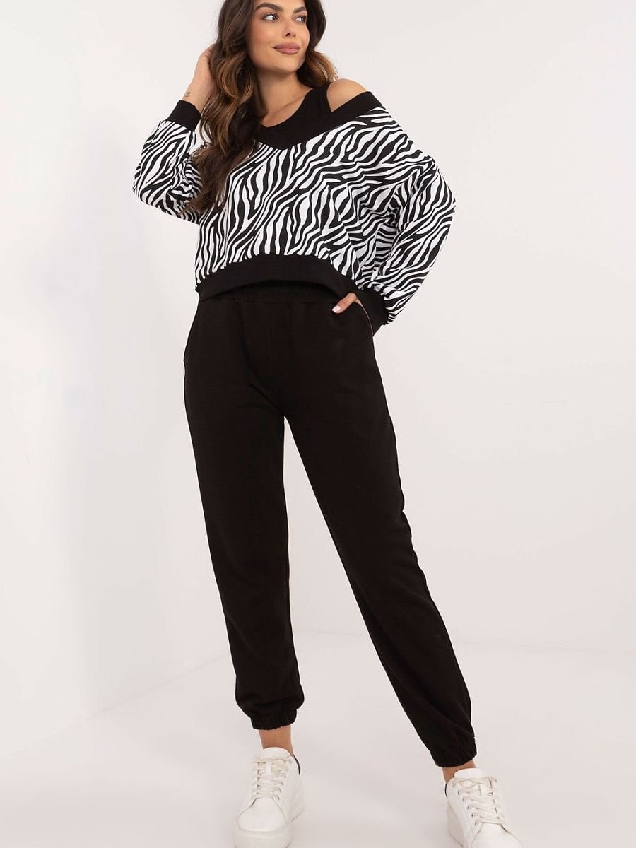 L`ensemble model 202060...