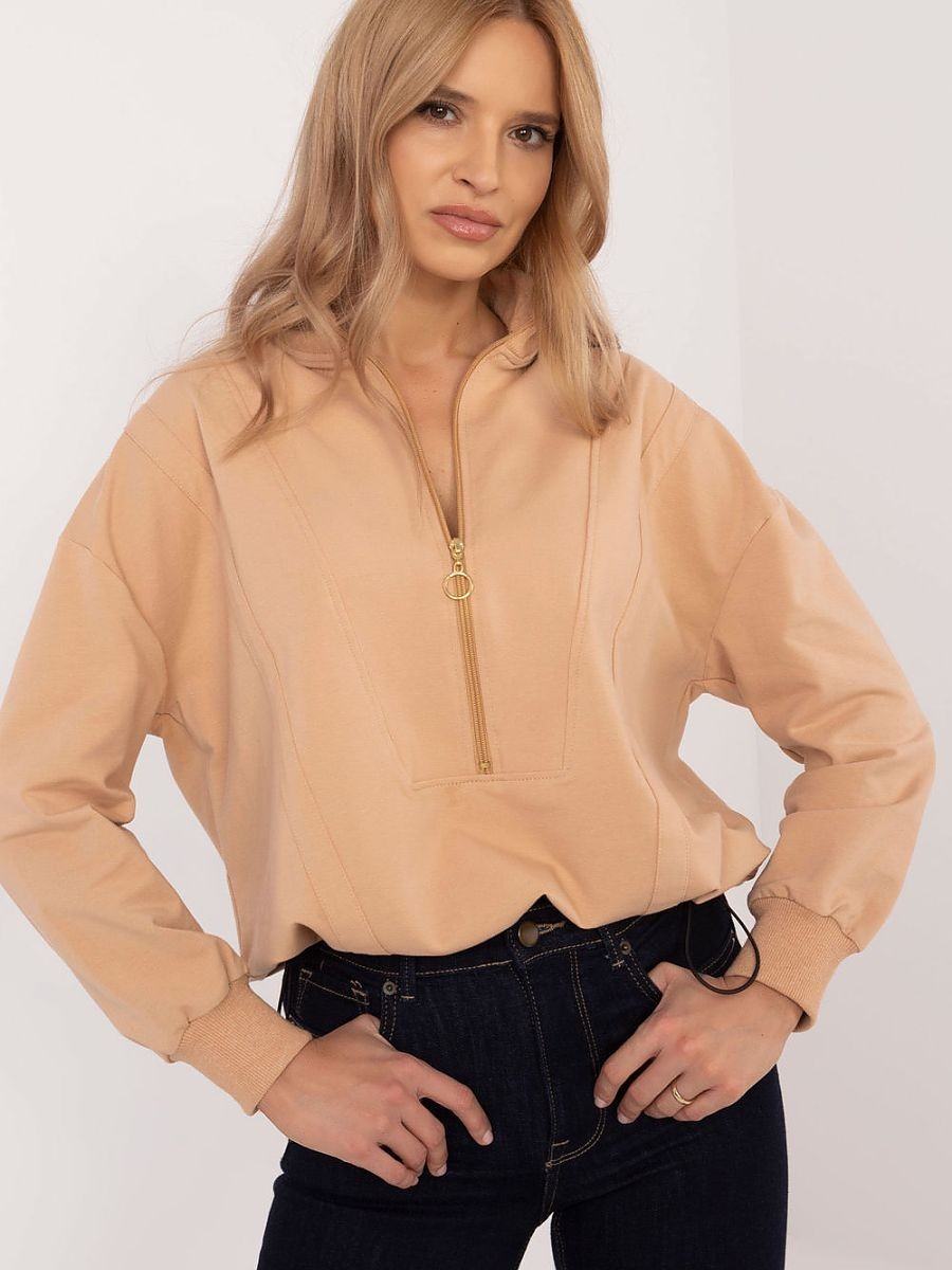 Sweatshirt model 203695...