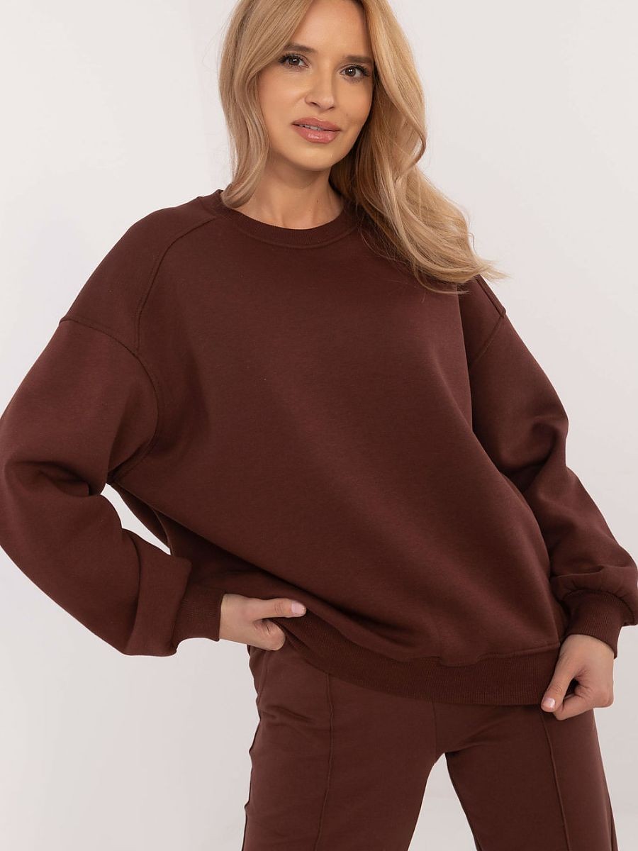 Sweatshirt model 204415...